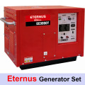 Мощный бензиновый генератор (EC3000T)